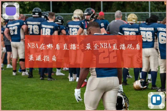 NBA在哪看直播：最全NBA直播观看渠道指南