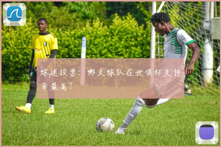 球迷投票：哪支球队在世俱杯支持率最高？