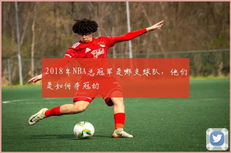 2018年NBA总冠军是哪支球队，他们是如何夺冠的
